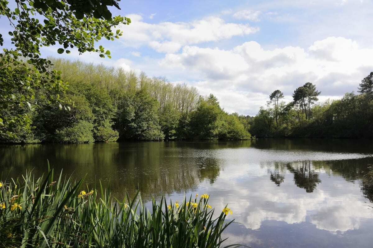 Direction Ermenonville