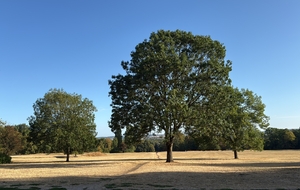 sortie improvisée